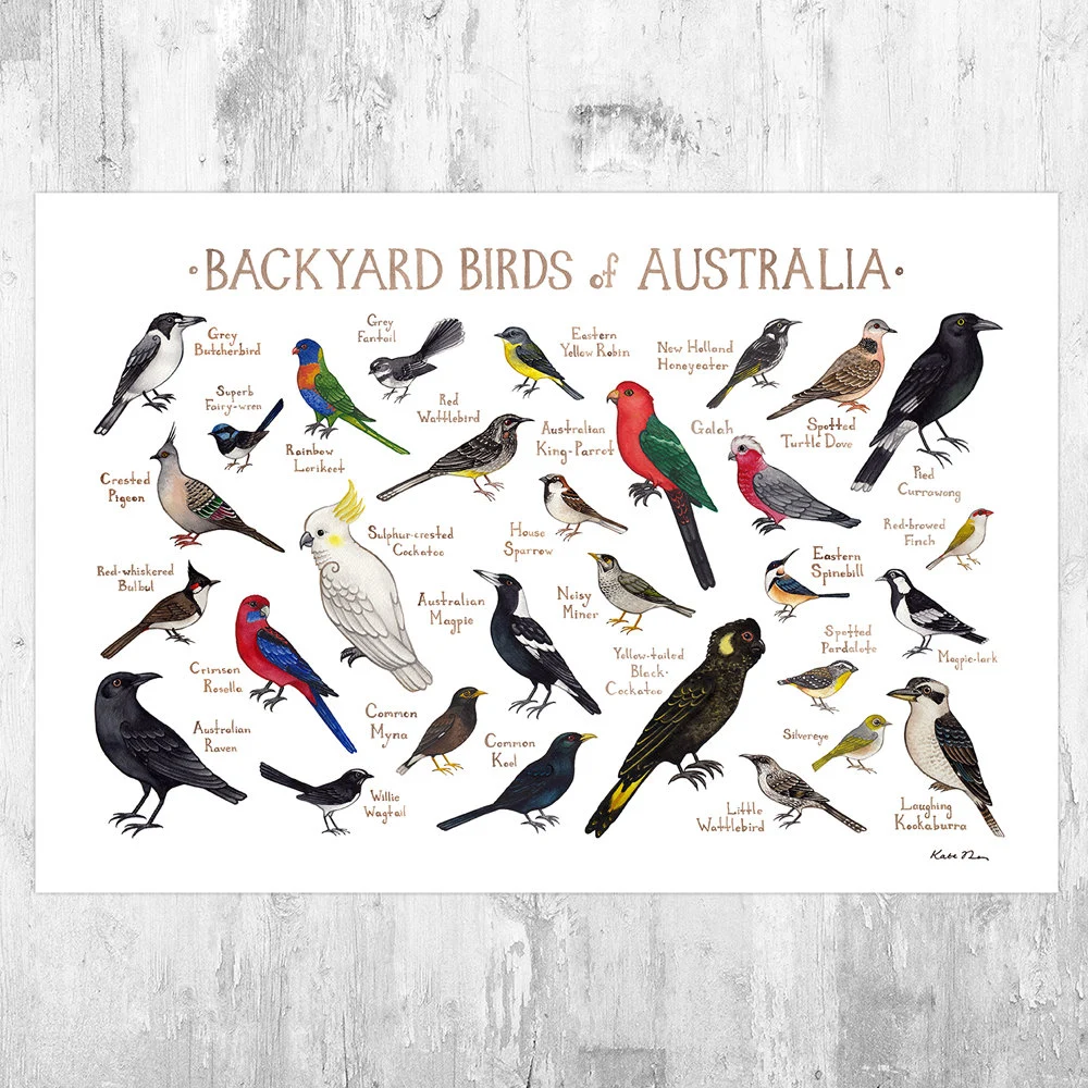 Top Birdwatching Location #6: Australia